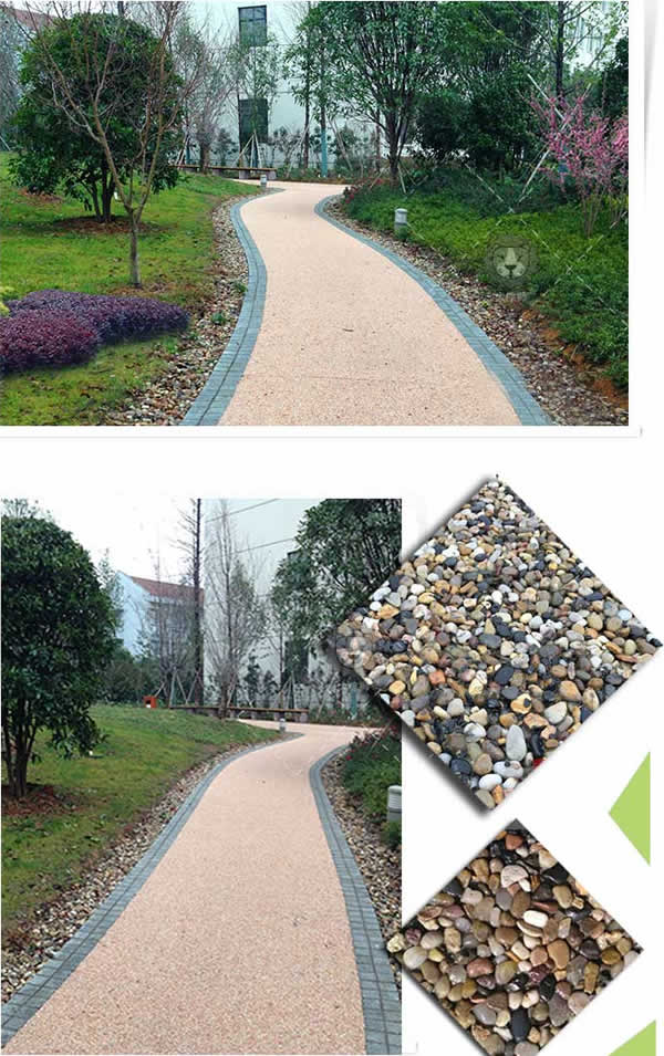 2020022565515169 (1).jpg